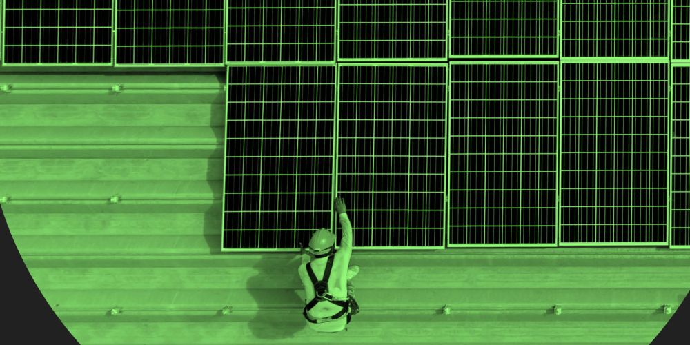 A person wearing a hard hat lays solar panels in a field of solar panels