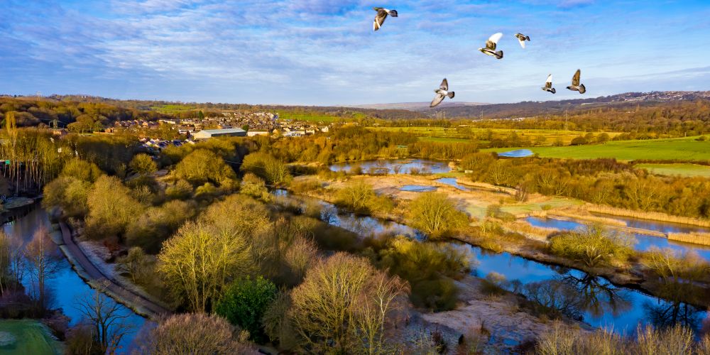 Rodley Nature Reserve in Leeds.