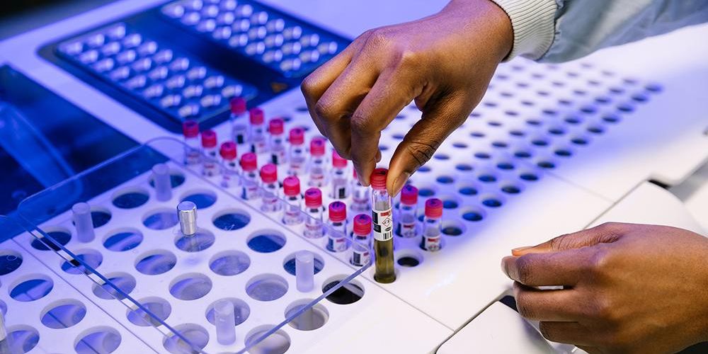 Hands picking out a test tube in a lab