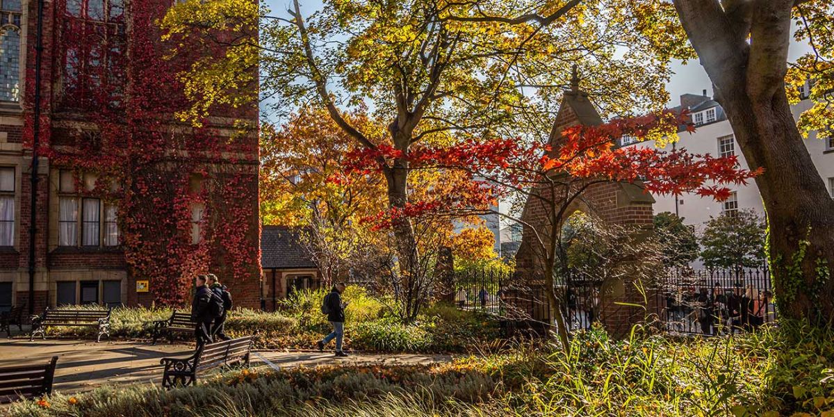People walking between the trees across a courtyeard near the Great Hall in autumn.