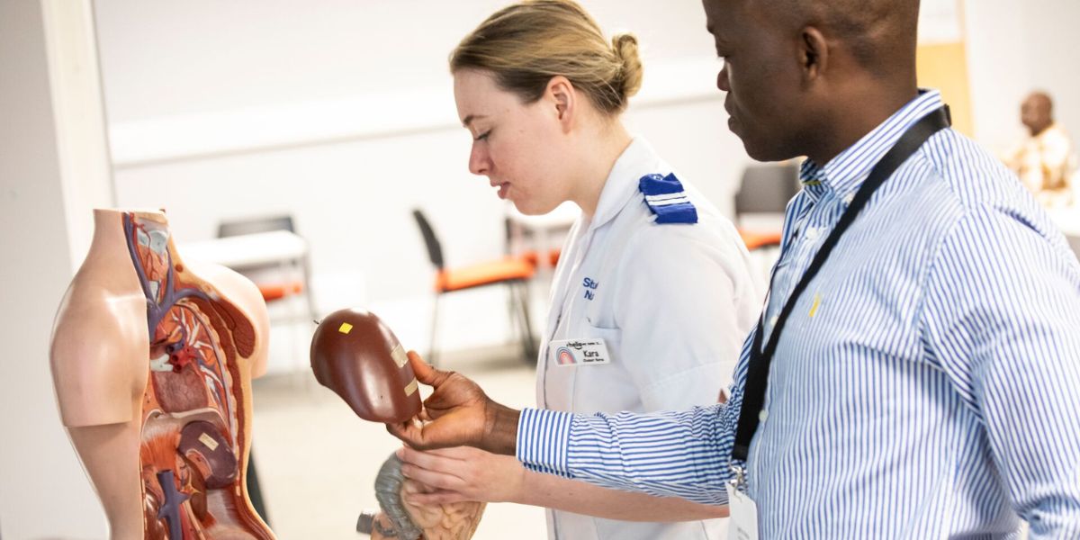 Two people examine a removable organ from an anatomical human torso model during a nursing education demonstration at an undergraduate open day.