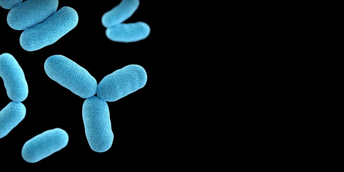 Colourful microscopic image of bacteria