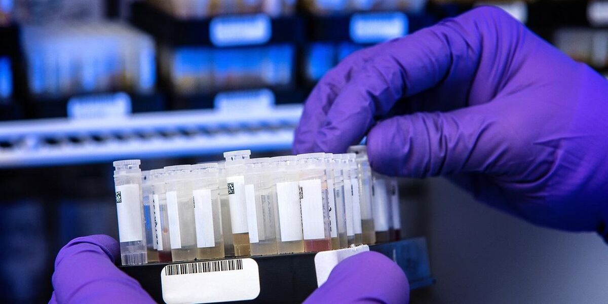 Gloved hands in a laboratory holding test tubes with liquid in