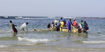 A group of fishermen on a boat and in the sea with fishing nets catching fish.