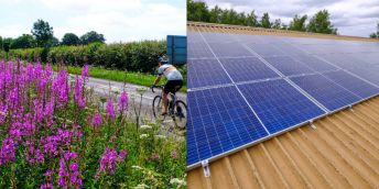 on the left, pink wildflowers from a rewilding project, on the right - solar panels on a roof