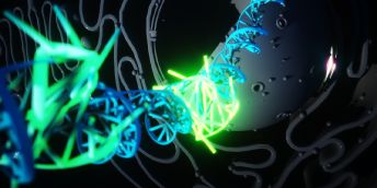 A 3D structure showing the formation of quadruple helix DNA