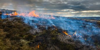 A close up shot of managed moorland burning at an undisclosed location in Yorkshire