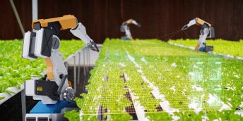 robot arms maintaining protective netting over green leafy vegetables in an agricultural nursery