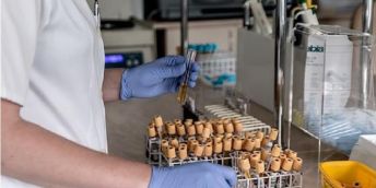 Picture shows a laboratory worker processing a number of blood samples