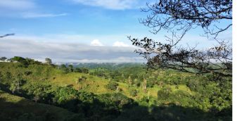 A secondary forest landscape in Agua Salud, Panama from a distance showing forest cover and partial reforestation