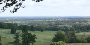 A landscape view of Wytham Woods, with sheep grazing in fields in the background