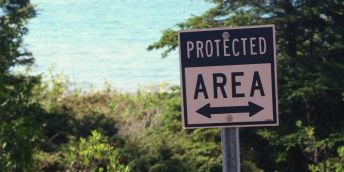 Protected area - Kate Ter Haar