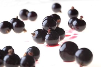 Ripe blackcurrant fruits
