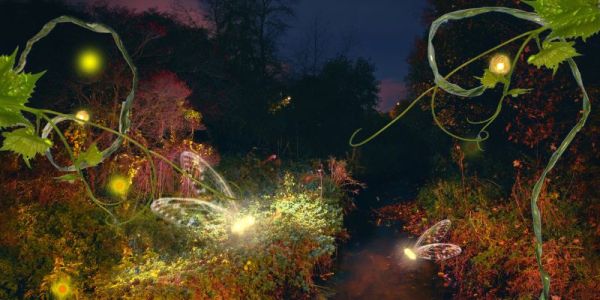 Glowing fireflies fly around a forest path at night.