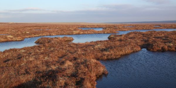 A new Government-backed code, which could slash UK carbon dioxide emissions by 220 million tonnes and protect rare wildlife by restoring moors, bogs and mires has been launched.