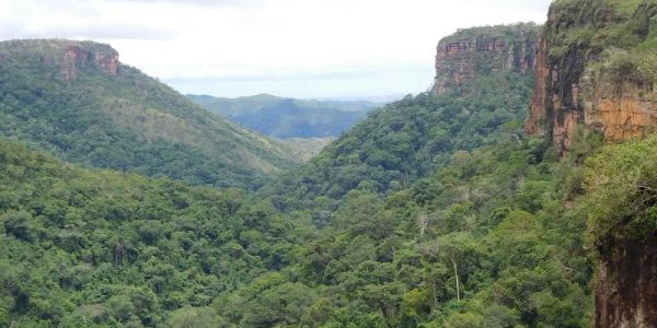 The image shows the view above the tree canopy in the Mata de Vale in the Chapada Guimares region of the Amazon forest. There is a dense cover of green vegetation across both side of a narrow valley.