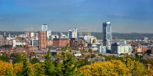 Leeds city skyline with a variety of trees in the foreground