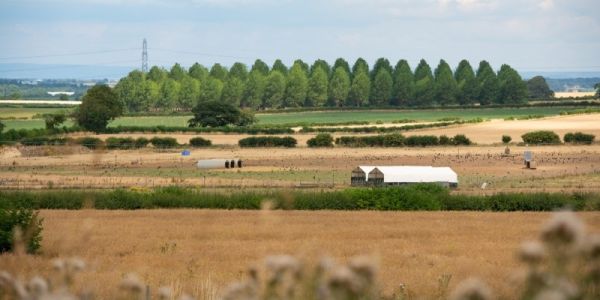 The University of Leeds farm with crop fields and a farm shed and trees in the background.