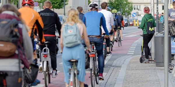 cyclists on the road