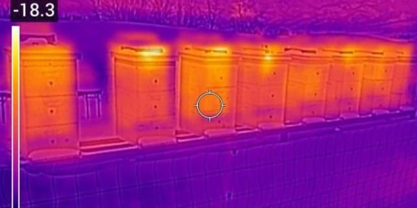 Infrared image of a line of beehives