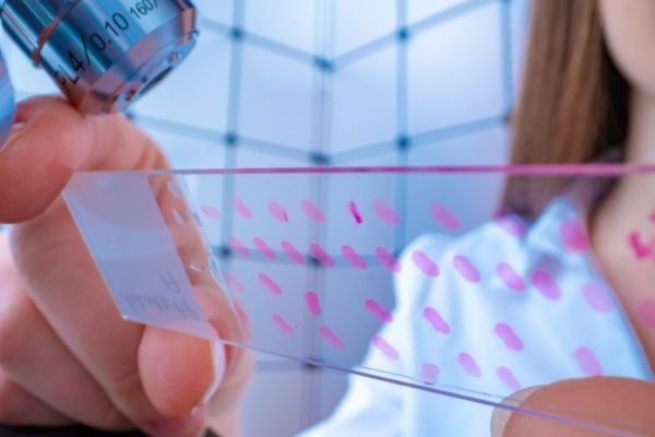 A close up of a plate with three lines of pink dots, samples, being held next to a microscope.