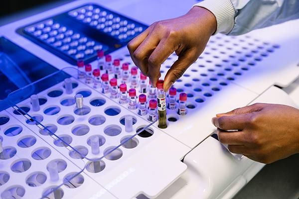 Hands picking out a test tube in a lab