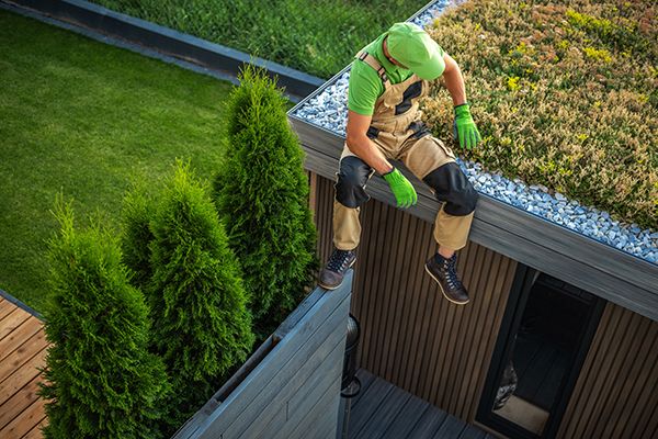 A person wearing work gear, including a green cap and work gloves, sits on the edge of a living roof.