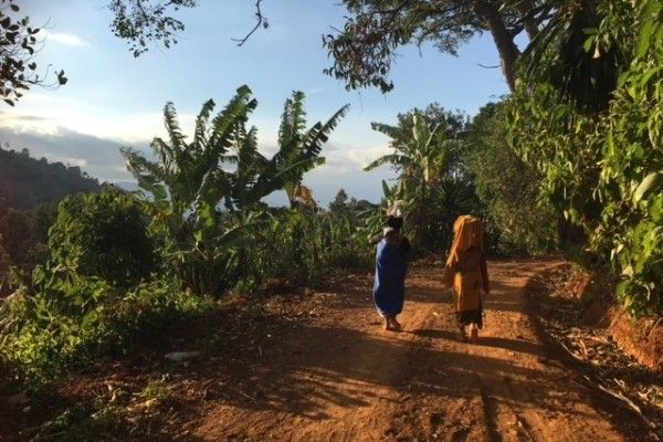 Two people, carrying items on their heads, walking away along a dirt road with vegetation on each side.