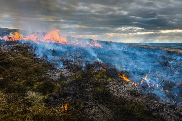 A burning moorland
