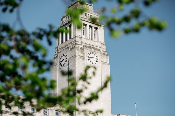 The Parkinson Tower, with a tree in the foreground, against a sunny blue sky.