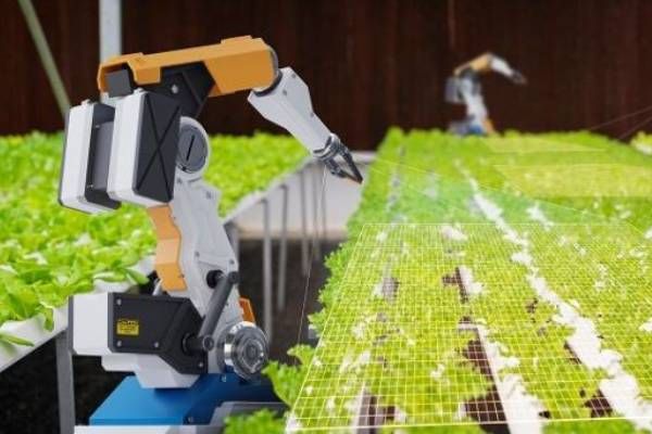 A robot arm working in a greenhouse with plants.