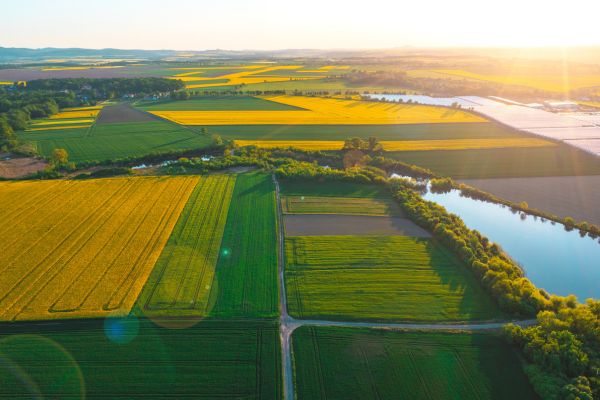 Farmland, including fields of crops and a reservoir.
