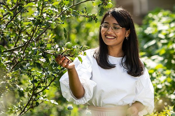 A student admires the branch of an apple tree with small fruit growing.