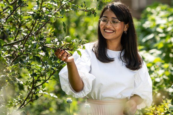 A University member smiles as they look at apples on a tree on campus.