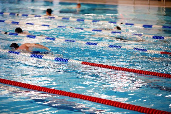 People swimming in lanes in a pool.