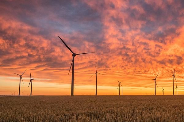 Wind turbines in a field surrounded by a sunset