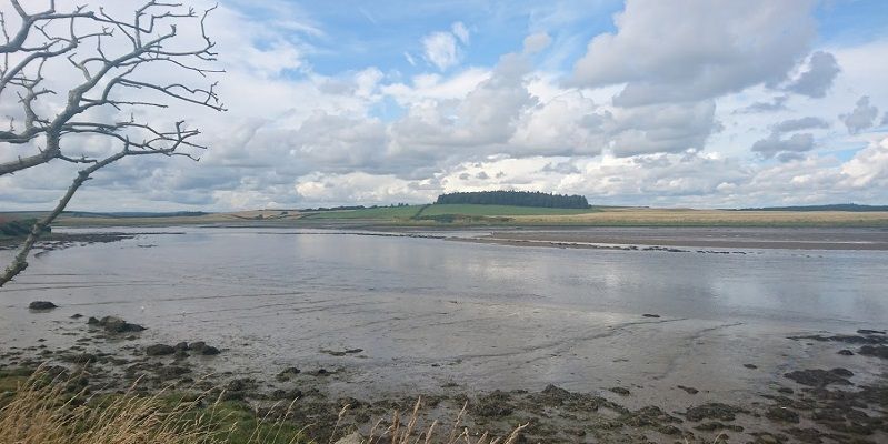 Ythan Estuary_Sarah Letsinger