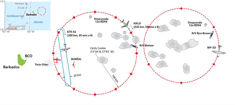 Cross section of the flight paths and shipping routes of the EUREC4A research aircraft and vessel. 