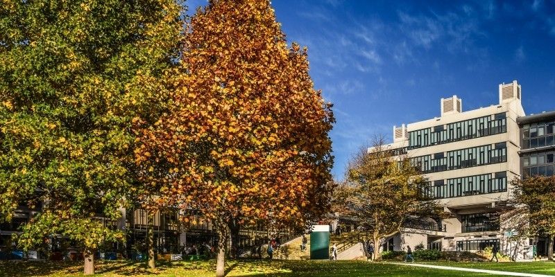 The back of the Edward Boyle library with three trees to the left of the library in autumn colours.
