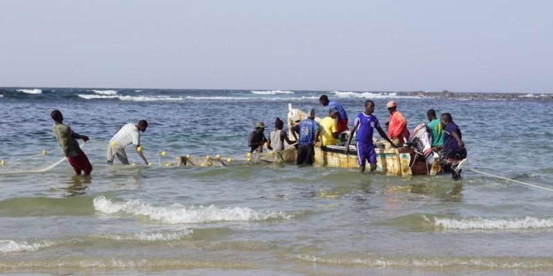 A group of people fishing with nets in the sea