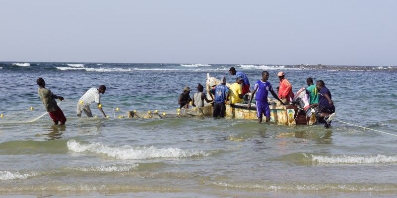 A group of fishermen on a boat and in the sea with fishing nets catching fish.