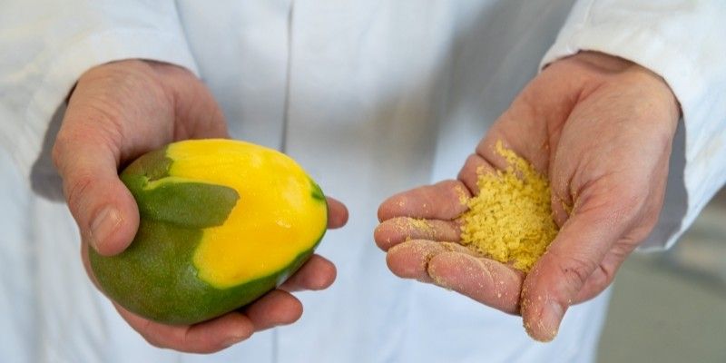 A person holds a mango and peelings in their left hand and sustainable protein flakes in their right hand.