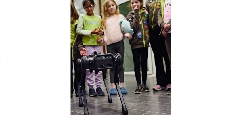A group of Brownies watch a robot dog