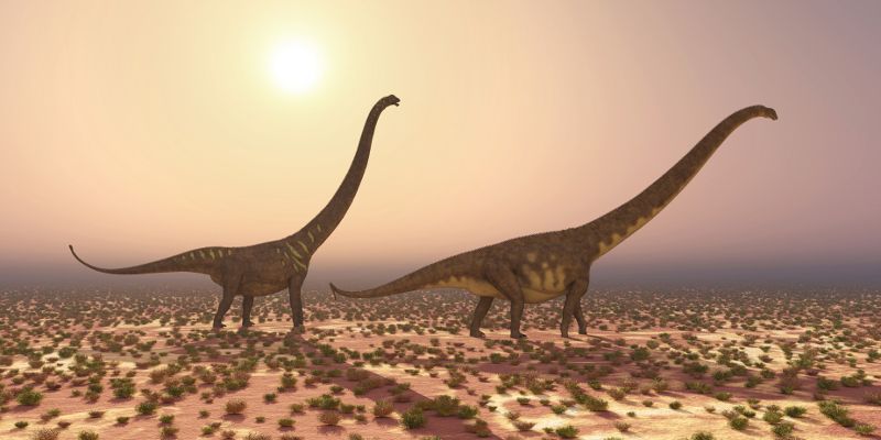 Researchers have used ‘network theory’ for the first time to visually depict the movement of dinosaurs around the world during the Mesozoic Era – including a curious exodus from Europe.