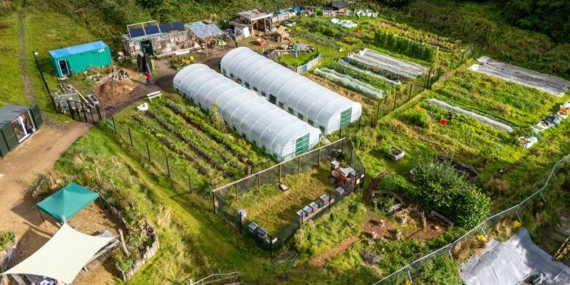 An aerial view of an urban farm featuring beds of crops and polytunnels.