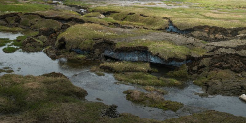 Melting permafrost in a green landscape in Longyearbyen, Svalbard, Norway
