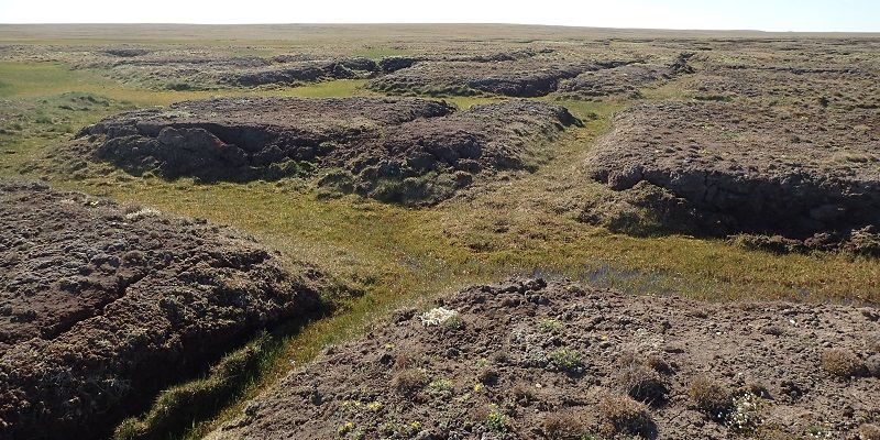 Canadian High Arctic polygon mire - Credit Jennifer Galloway
