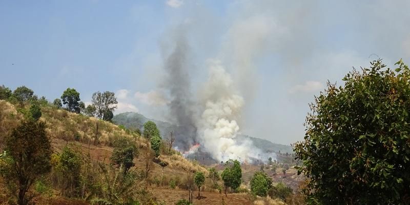 Smoke from the burning of agricultural land and forests