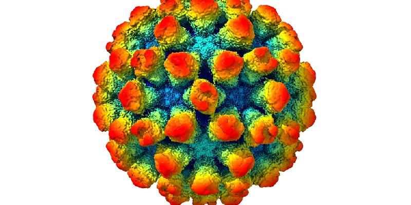 Image shows a norovirus created from 13,000 separate electron microscope images. It shows bump-like protrusions on the surface of the protein shell around the virus.