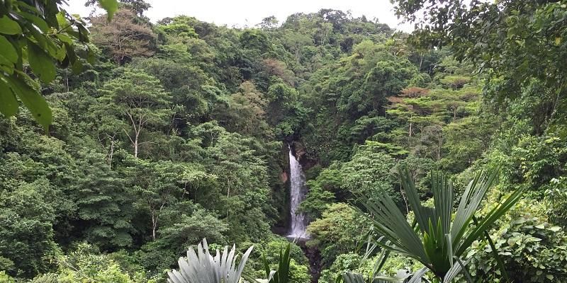 Waterfall in the Panama Forest surrounded by lush green trees